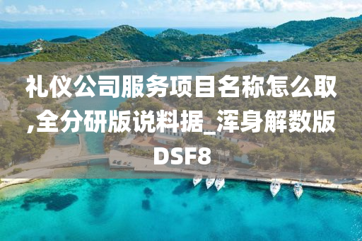 礼仪公司服务项目名称怎么取,全分研版说料据_浑身解数版DSF8