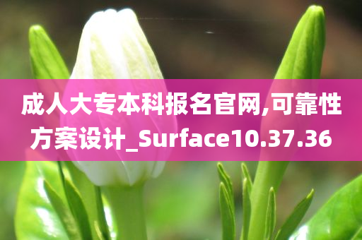 成人大专本科报名官网,可靠性方案设计_Surface10.37.36