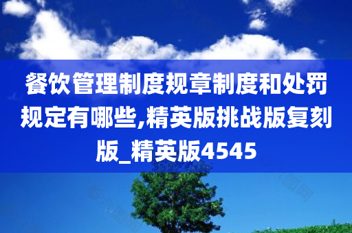 餐饮管理制度规章制度和处罚规定有哪些,精英版挑战版复刻版_精英版4545