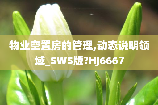 物业空置房的管理,动态说明领域_SWS版?HJ6667