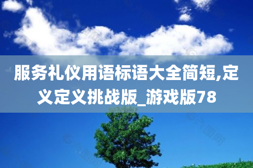 服务礼仪用语标语大全简短,定义定义挑战版_游戏版78