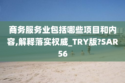 商务服务业包括哪些项目和内容,解释落实权威_TRY版?SAR56