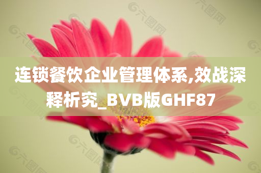 连锁餐饮企业管理体系,效战深释析究_BVB版GHF87