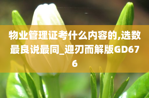 物业管理证考什么内容的,选数最良说最同_迎刃而解版GD676