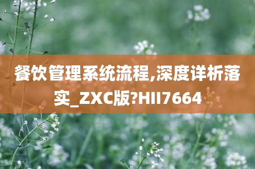 餐饮管理系统流程,深度详析落实_ZXC版?HII7664