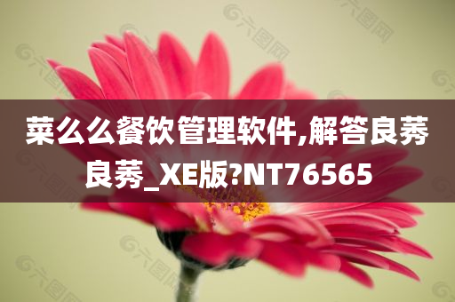 菜么么餐饮管理软件,解答良莠良莠_XE版?NT76565