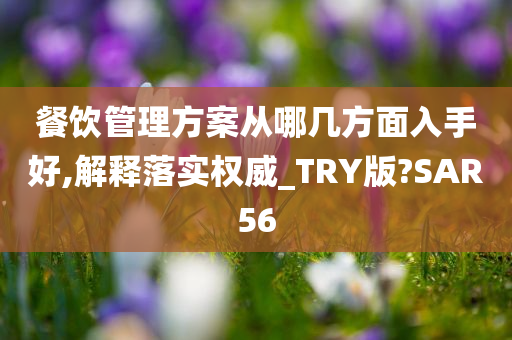 餐饮管理方案从哪几方面入手好,解释落实权威_TRY版?SAR56