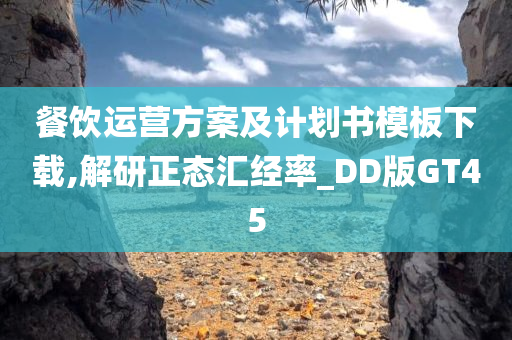 餐饮运营方案及计划书模板下载,解研正态汇经率_DD版GT45