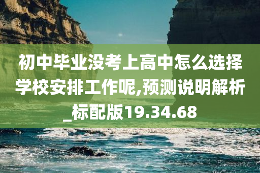 初中毕业没考上高中怎么选择学校安排工作呢,预测说明解析_标配版19.34.68