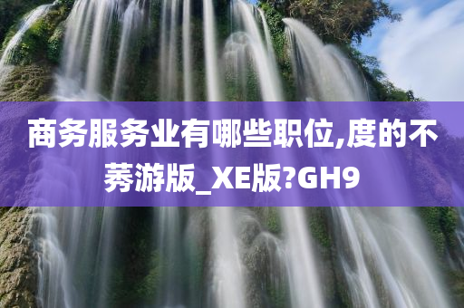 商务服务业有哪些职位,度的不莠游版_XE版?GH9