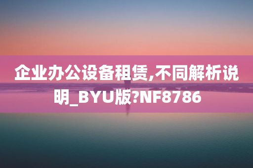 企业办公设备租赁,不同解析说明_BYU版?NF8786