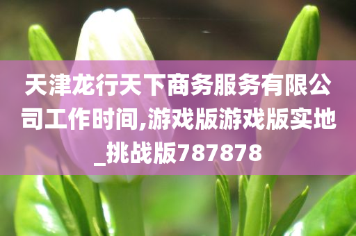 天津龙行天下商务服务有限公司工作时间,游戏版游戏版实地_挑战版787878