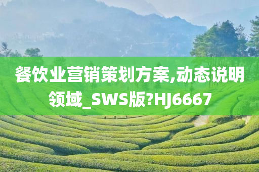 餐饮业营销策划方案,动态说明领域_SWS版?HJ6667