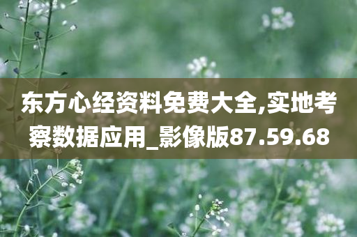 东方心经资料免费大全,实地考察数据应用_影像版87.59.68