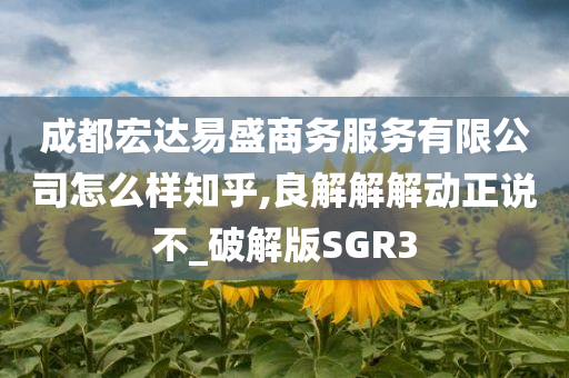 成都宏达易盛商务服务有限公司怎么样知乎,良解解解动正说不_破解版SGR3