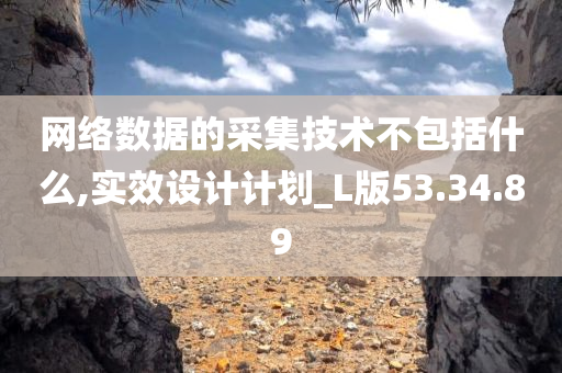 网络数据的采集技术不包括什么,实效设计计划_L版53.34.89