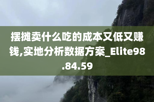 摆摊卖什么吃的成本又低又赚钱,实地分析数据方案_Elite98.84.59