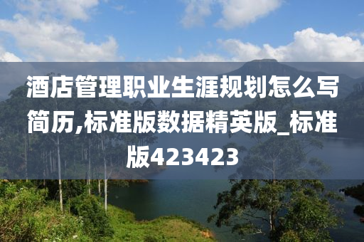 酒店管理职业生涯规划怎么写简历,标准版数据精英版_标准版423423