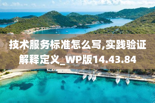 技术服务标准怎么写,实践验证解释定义_WP版14.43.84