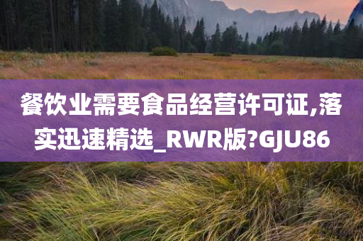 餐饮业需要食品经营许可证,落实迅速精选_RWR版?GJU86