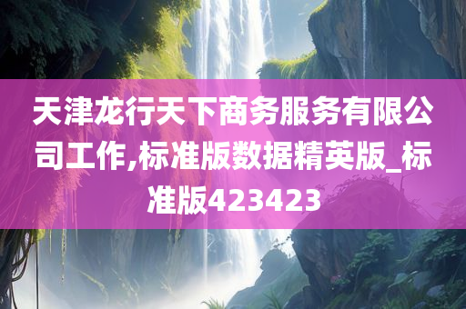 天津龙行天下商务服务有限公司工作,标准版数据精英版_标准版423423