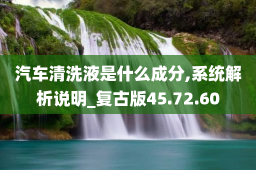 汽车清洗液是什么成分,系统解析说明_复古版45.72.60