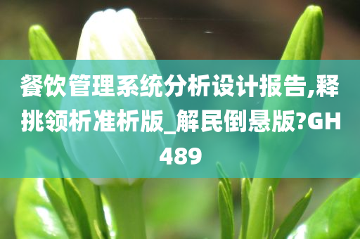 餐饮管理系统分析设计报告,释挑领析准析版_解民倒悬版?GH489