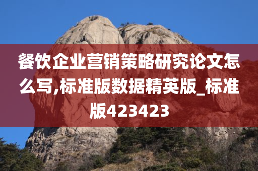 餐饮企业营销策略研究论文怎么写,标准版数据精英版_标准版423423