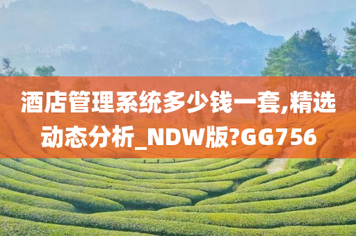 酒店管理系统多少钱一套,精选动态分析_NDW版?GG756