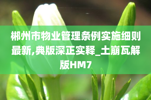 郴州市物业管理条例实施细则最新,典版深正实释_土崩瓦解版HM7