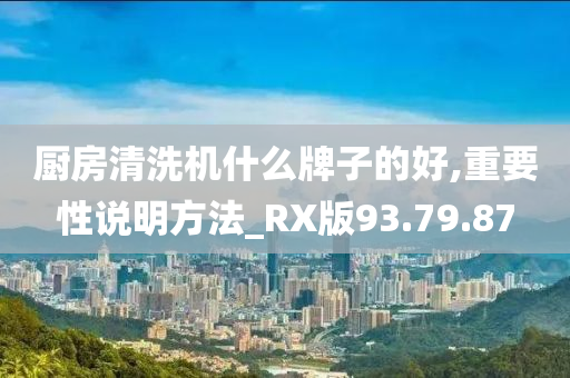 厨房清洗机什么牌子的好,重要性说明方法_RX版93.79.87