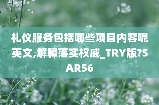 礼仪服务包括哪些项目内容呢英文,解释落实权威_TRY版?SAR56