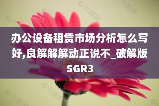 办公设备租赁市场分析怎么写好,良解解解动正说不_破解版SGR3