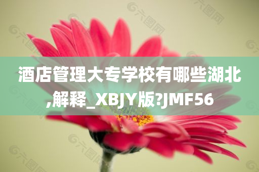 酒店管理大专学校有哪些湖北,解释_XBJY版?JMF56