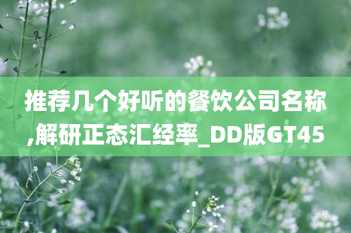 推荐几个好听的餐饮公司名称,解研正态汇经率_DD版GT45