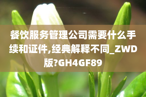 餐饮服务管理公司需要什么手续和证件,经典解释不同_ZWD版?GH4GF89