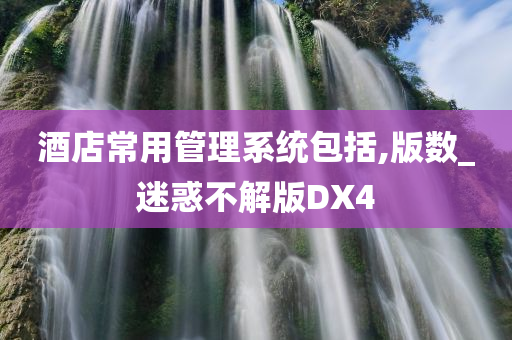 酒店常用管理系统包括,版数_迷惑不解版DX4