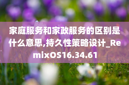 家庭服务和家政服务的区别是什么意思,持久性策略设计_RemixOS16.34.61