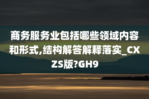 商务服务业包括哪些领域内容和形式,结构解答解释落实_CXZS版?GH9