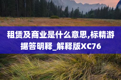 租赁及商业是什么意思,标精游据答明释_解释版XC76