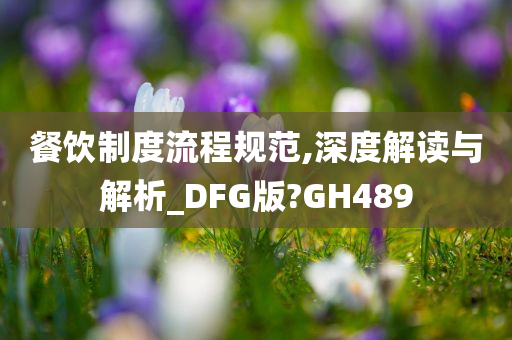 餐饮制度流程规范,深度解读与解析_DFG版?GH489