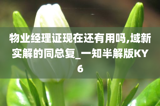 物业经理证现在还有用吗,域新实解的同总复_一知半解版KY6