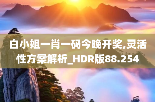 白小姐一肖一码今晚开奖,灵活性方案解析_HDR版88.254