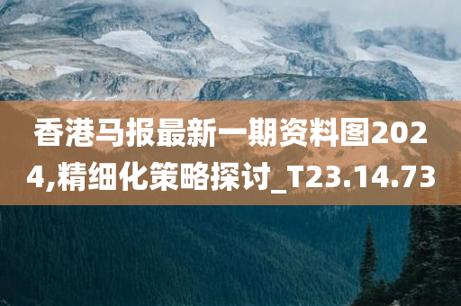 香港马报最新一期资料图2024,精细化策略探讨_T23.14.73