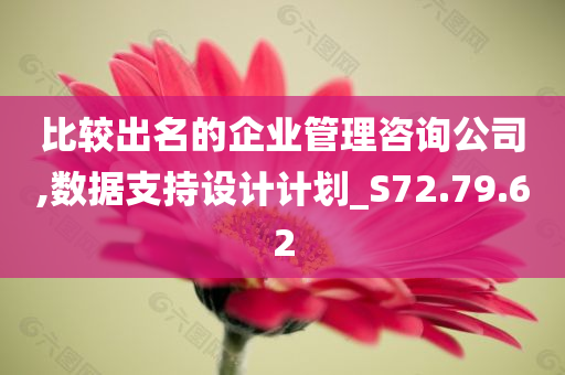 比较出名的企业管理咨询公司,数据支持设计计划_S72.79.62