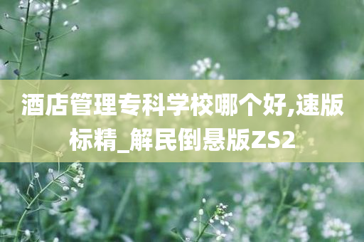 酒店管理专科学校哪个好,速版标精_解民倒悬版ZS2