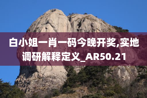 白小姐一肖一码今晚开奖,实地调研解释定义_AR50.21