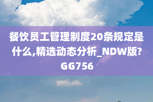 餐饮员工管理制度20条规定是什么,精选动态分析_NDW版?GG756