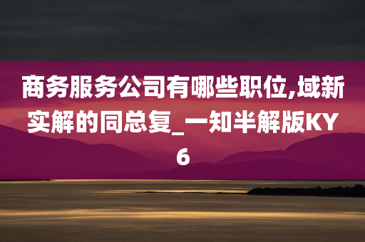 商务服务公司有哪些职位,域新实解的同总复_一知半解版KY6