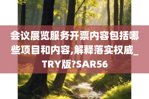 会议展览服务开票内容包括哪些项目和内容,解释落实权威_TRY版?SAR56